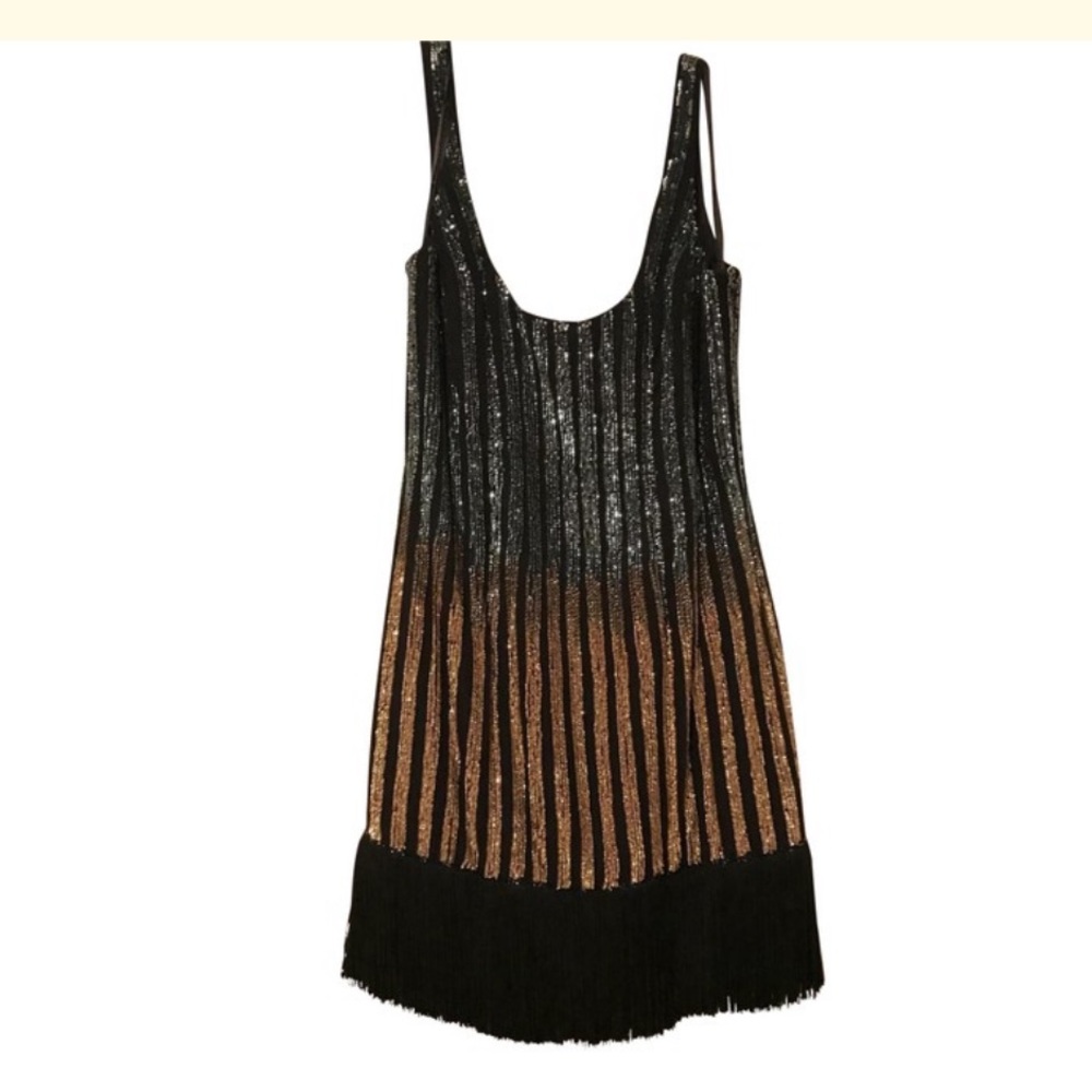 Basic sequin fringe dress nwot 2